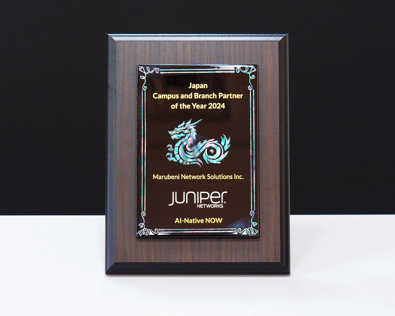 Japan Campus and Branch Partner of the Year 2024