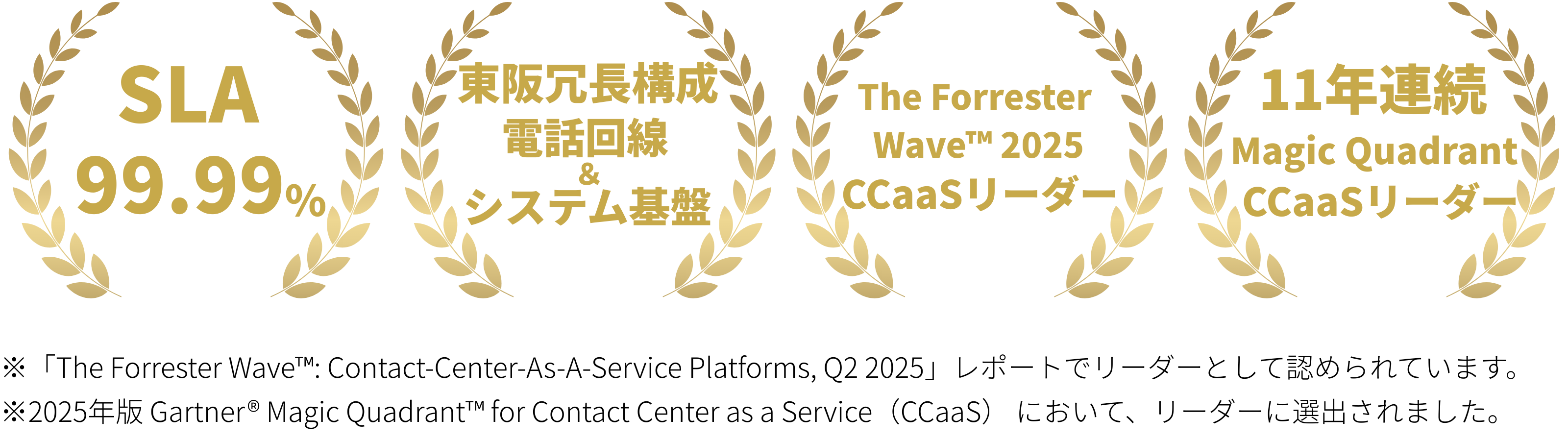 実績バッジ