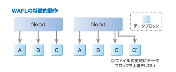 WAFLの特徴的動作