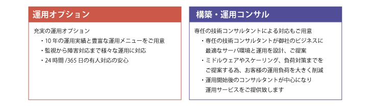 運用・構築支援
