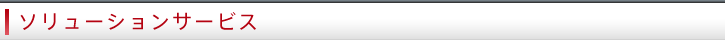 ソリューションサービス